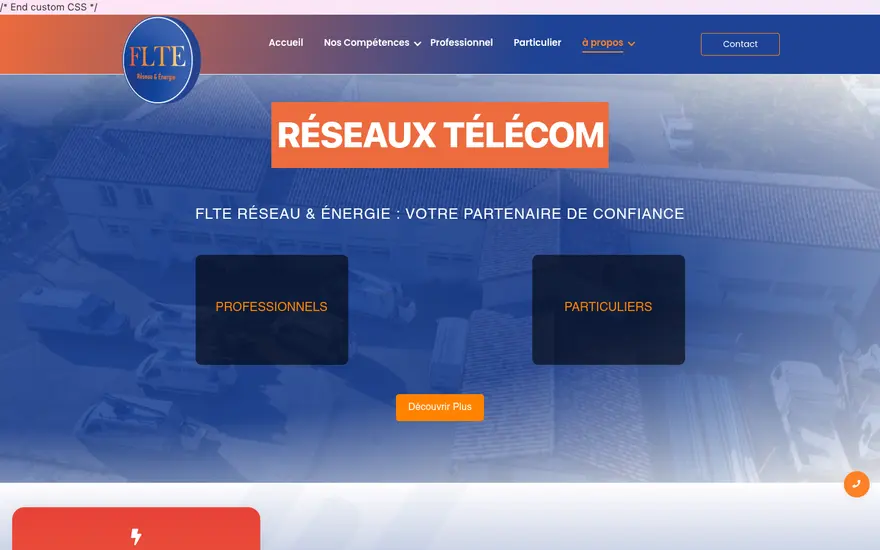 Page d’accueil du site FLTE Réseau